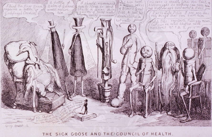 The Sick Goose and the Council of Health